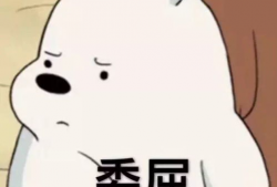 猪头吃瓜爆料图片表情包,趣味横生，笑料百出