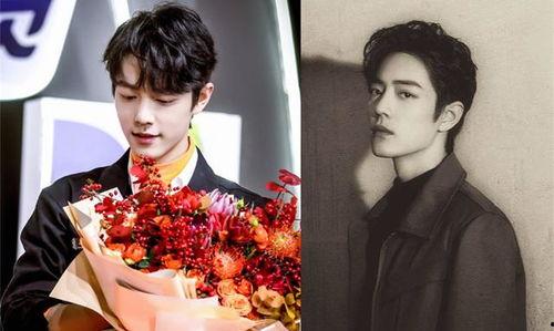 肖肖带你吃瓜娱乐圈,八卦风云,幕后真相大揭秘